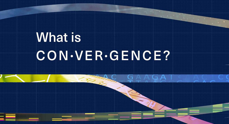 data convergence graphic